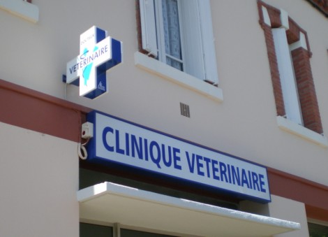 VÉTÉRINAIRE